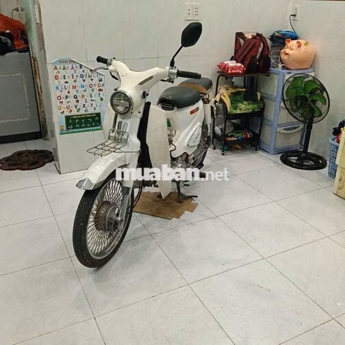  Cub Ally Classic 50cc Trắng