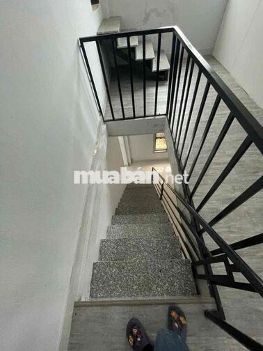 cho thuê nhà nguyên căn(dt:6x12m)2pn2wc Lạc Long Quân p8 TB