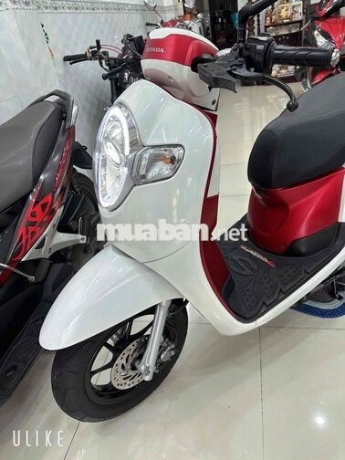 Honda Scoopy FI ( ĐỜI 2020 ) BS: 65 Cần Thơ