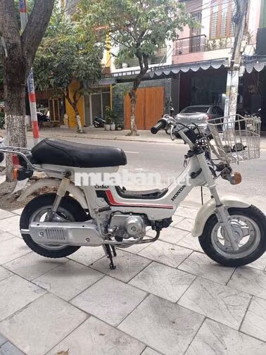 Honda Chaly 1981 Trắng Số tròn 3 số