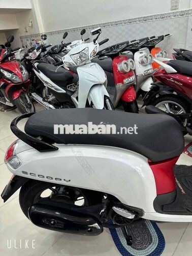 Honda Scoopy FI ( ĐỜI 2020 ) BS: 65 Cần Thơ