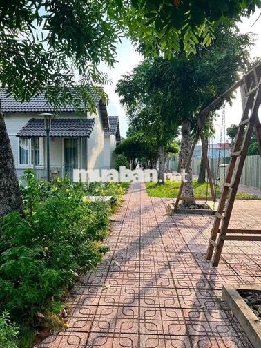 Cho Thuê Căn Hộ Mini Trệt Sân Vườn Phú Thọ Sát Công Viên Bờ Sông TDM