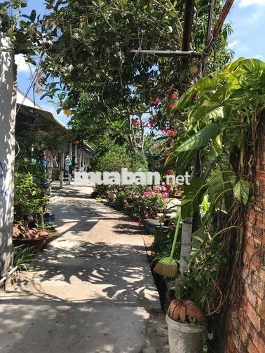 Cho thuê phòng trọ Đường Phú Lợi