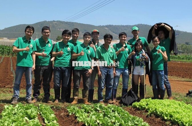 Bán hàng Rau Trái cây cửa hàng Thực phẩm nhà quê