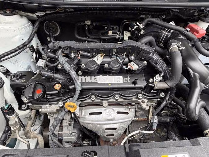Toyota Vios 1.5G 2024 Trắng