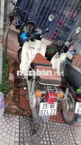 DAELIM CUP 50cc Trắng