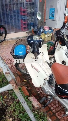 DAELIM CUP 50cc Trắng