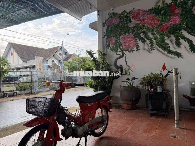 Honda DD 70 Đỏ