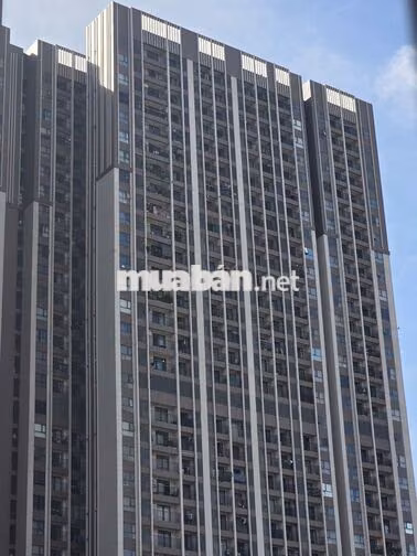Bán nhanh căn studio Opal Skyline giá chỉ 1,350 tỷ