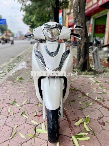 Honda Lead 123 2023 Trắng