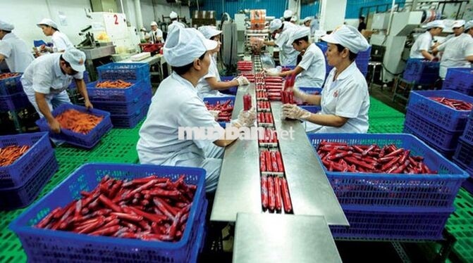 NHÀ MÁY VISSAN 486 NƠ TRANG LONG TUYỂN DỤNG LDPT