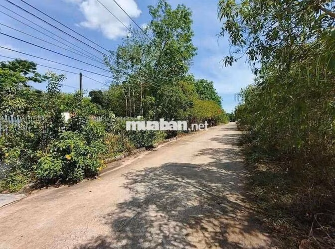 Chủ kẹt tiền cần bán gấp khu đất nhà vườn gần KCN