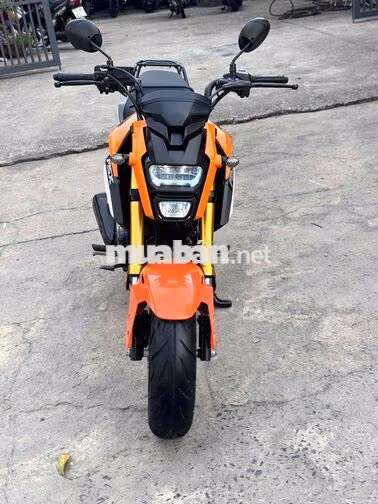 Honda Msx125 Cam