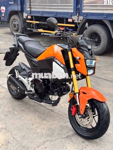Honda Msx125 Cam