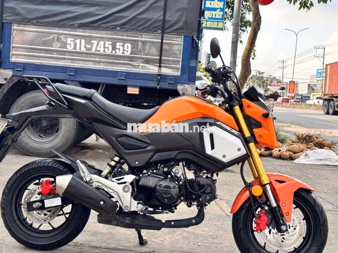 Honda Msx125 Cam