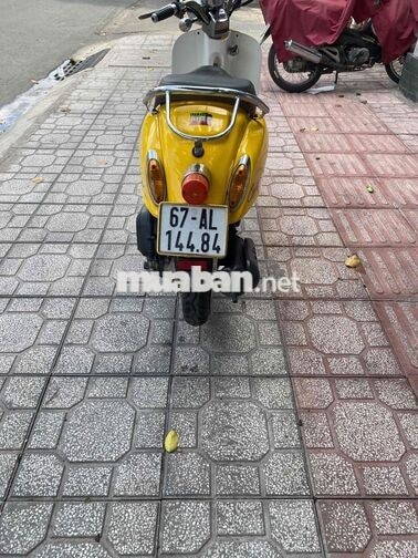 Honda Cree Scoopy 50cc Vàng trắng