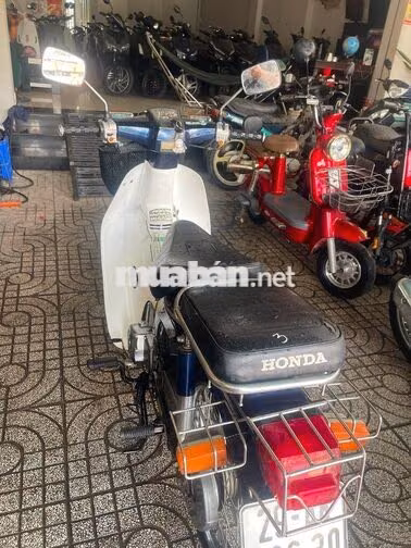 Cub 50cc đèn vuông đời mới