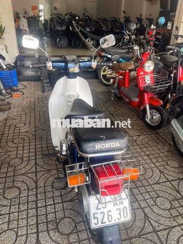 Cub 50cc đèn vuông đời mới