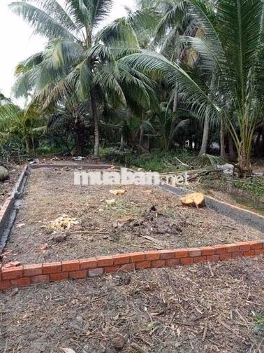 Đất SHR Thổ Vườn 1434m sát MT Nam Sông Hậu Cần Thơ mới