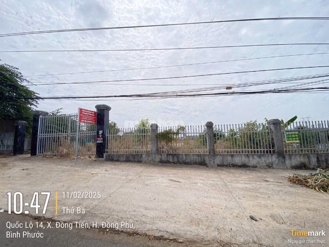 Công ty đấu giá hợp danh Sao Việt 