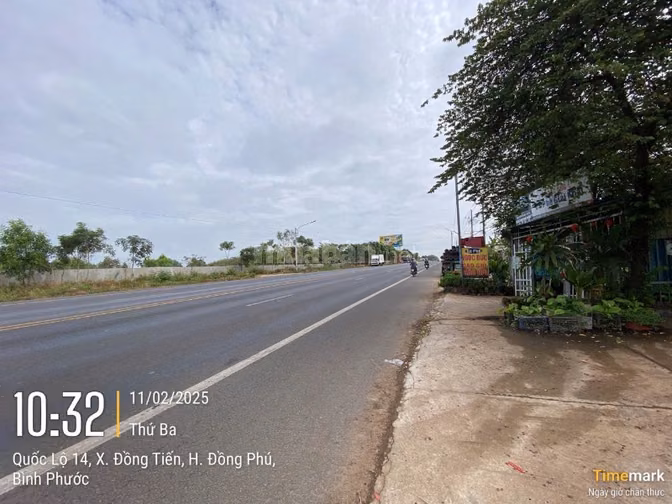 Công ty đấu giá hợp danh Sao Việt 