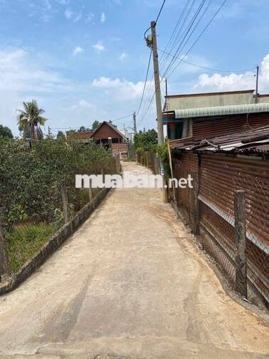 Nhà 179 m2 thổ cư phường Tân Triều