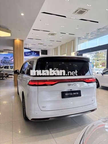 BYD M9 Pre 2026 -Trắng xe Sẵn Tặng ưu đãi 50Triệu