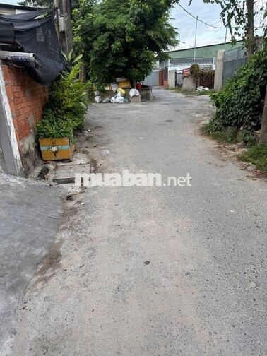 🏭 CHO THUÊ NHÀ XƯỞNG – CAO THOÁNG, RỘNG RÃI, HẺM XE TẢI 5 TẤN QUAY ĐẦU