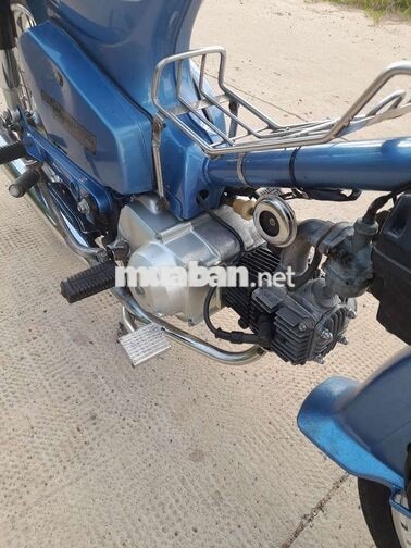 Honda Cub 50cc Xanh