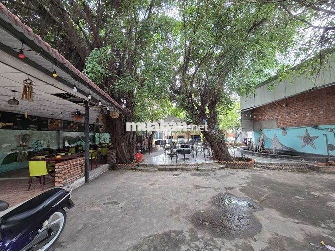 tuyển nhân viên nữ bán cf