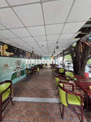 tuyển nhân viên nữ bán cf