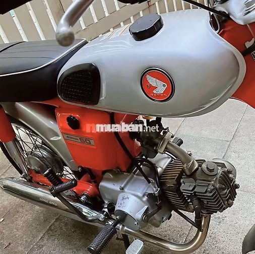 Sắp xuất cảnh cần chia sẻ lại con Honda SS50