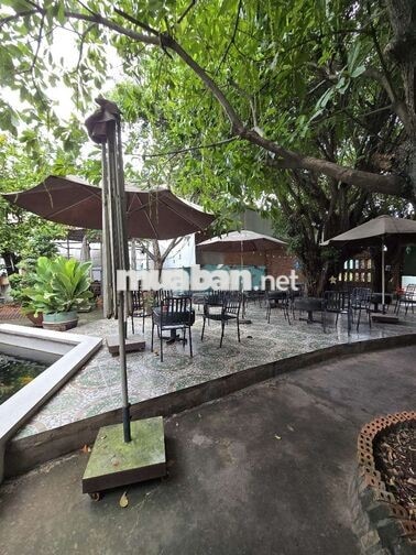 tuyển nhân viên nữ bán cf