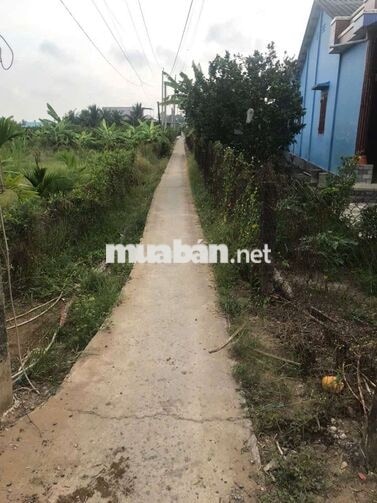 em Tân chính chủ cần bán đất thổ cư
