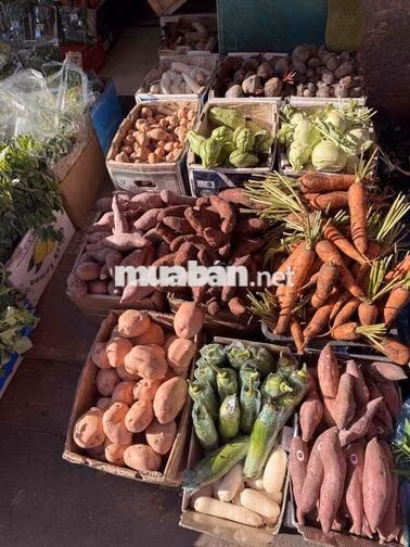 TUYỂN NHÂN VIÊN NỮ BÁN THỰC PHẨM TẠI PHÚ NHUẬN