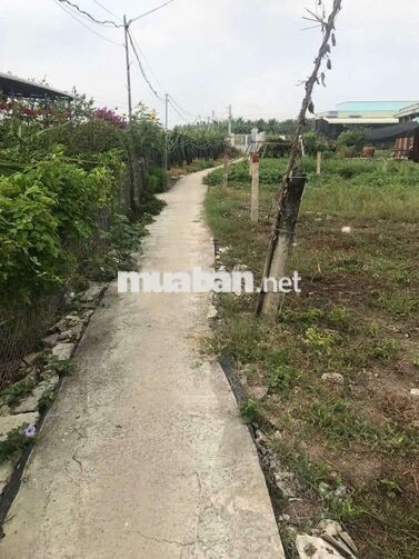 em Tân chính chủ cần bán đất thổ cư