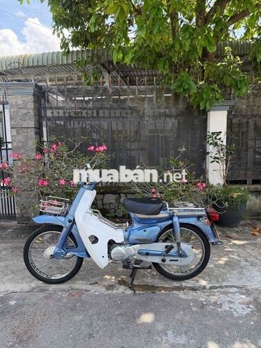 Honda Cup 90cc Xanh, Trắng