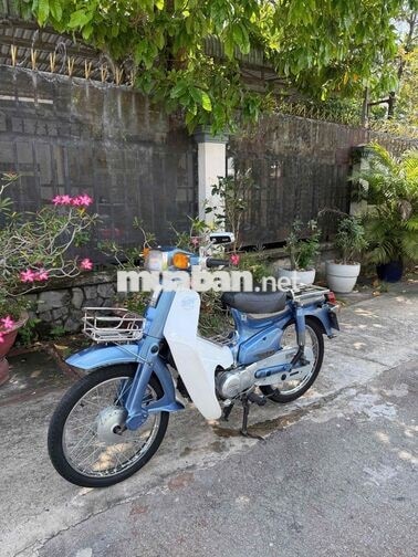 Honda Cup 90cc Xanh, Trắng