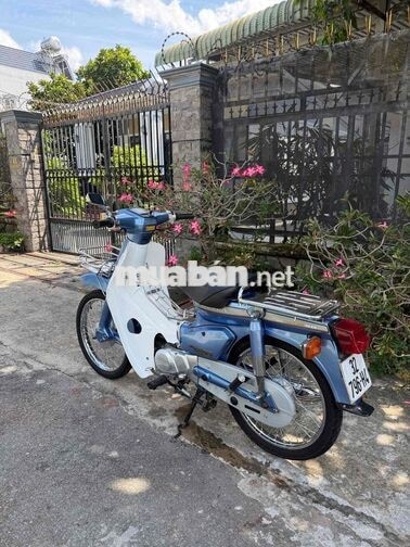 Honda Cup 90cc Xanh, Trắng