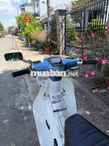 Honda Cup 90cc Xanh, Trắng