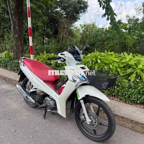 future led 2023 ngay chủ ký giấy