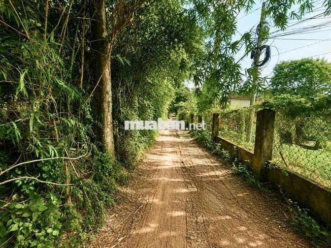 CHỦ KẸT GIẢM 1,5 TỶ, 1.267m2 (17,5x81)ĐINH QUANG ÂN - BIÊN HOÀ , 1