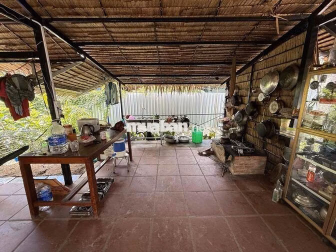 Nhà vườn nghĩ dưỡng 1.000m2 ( 16,5m x 60m ) cách Bờ Kè Mương Khai 150m