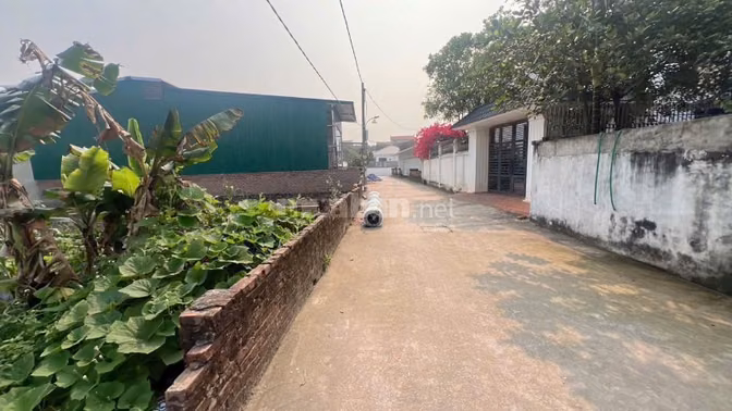 Giảm chào 300tr. 48m2 mt 4, Tân Phú- Quốc Oai. Ô tô tránh, trục thông.