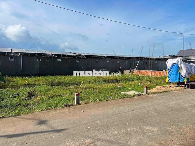 Nền Thổ cư cấp phép xây dựng 4m x 20m cách Lê Phước Thọ 1,5km