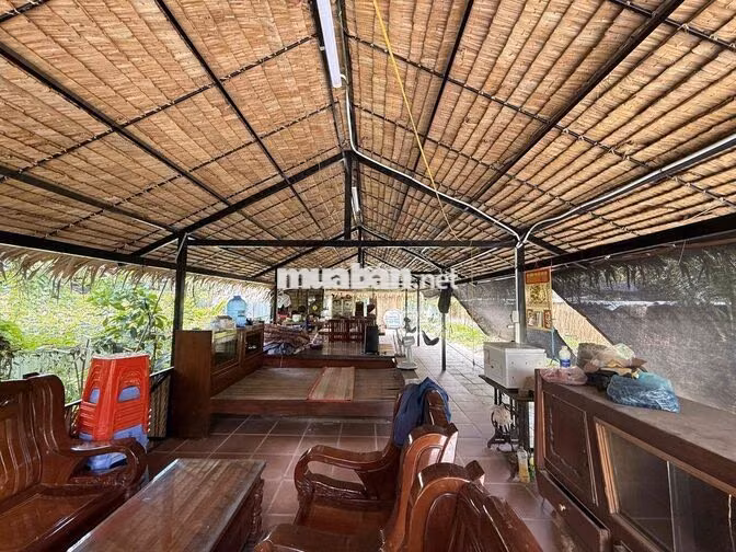 Nhà vườn nghĩ dưỡng 1.000m2 ( 16,5m x 60m ) cách Bờ Kè Mương Khai 150m