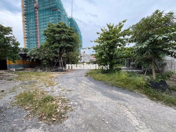 Cho thuê Kho xưởng dt 500m2 gần Bệnh viện Hoàn Mỹ Thủ Đức