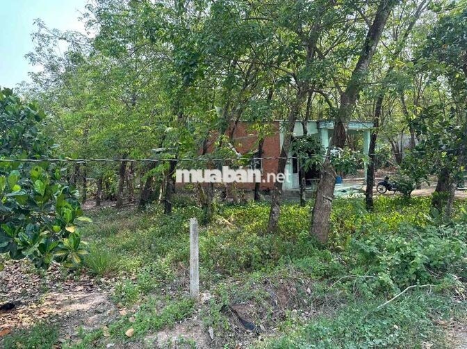 Bán đất 1712m2 mặt tiền đường nhựa
