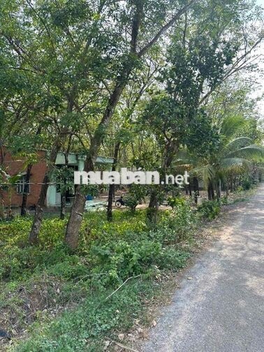 Bán đất 1712m2 mặt tiền đường nhựa