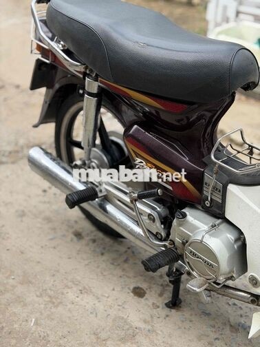 Honda super draem biển 65 ngây chú xe đẹp nguyên z